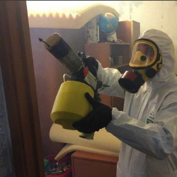 Уничтожение клопов в квартире. Волгодонск